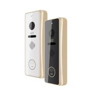 Вызывная панель цветная CTV-D4002EM CH (шампань) CTV-D4002EM